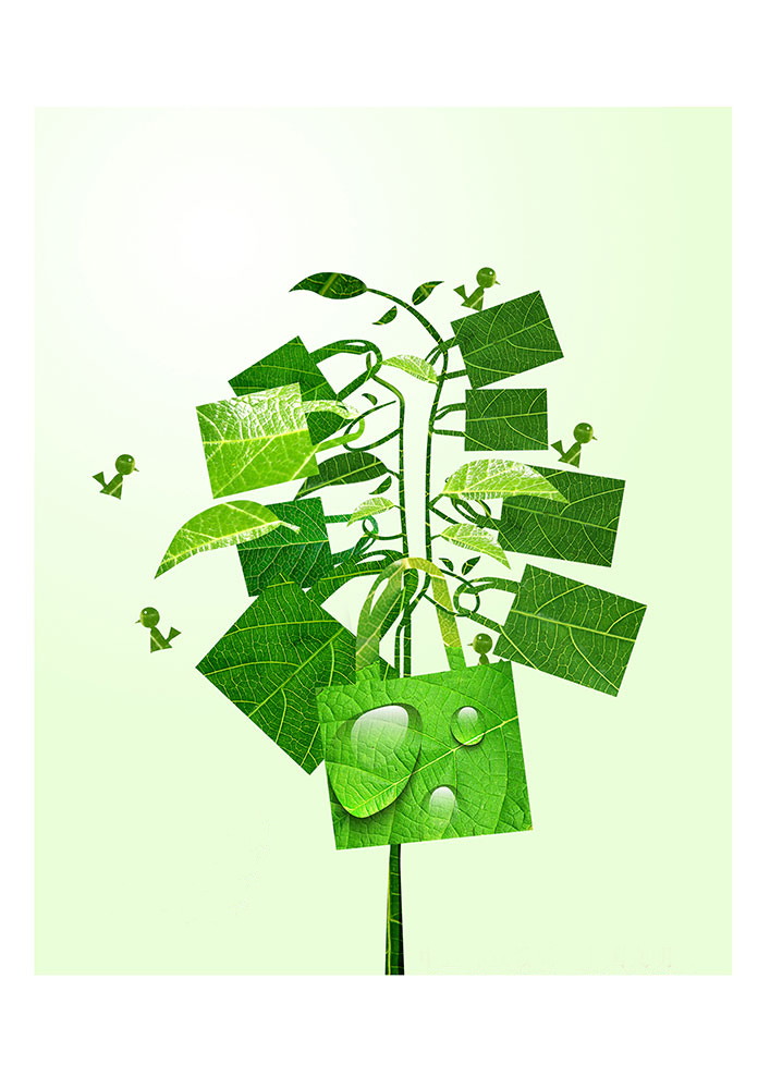 一花一世界，一個環(huán)保袋一抹綠